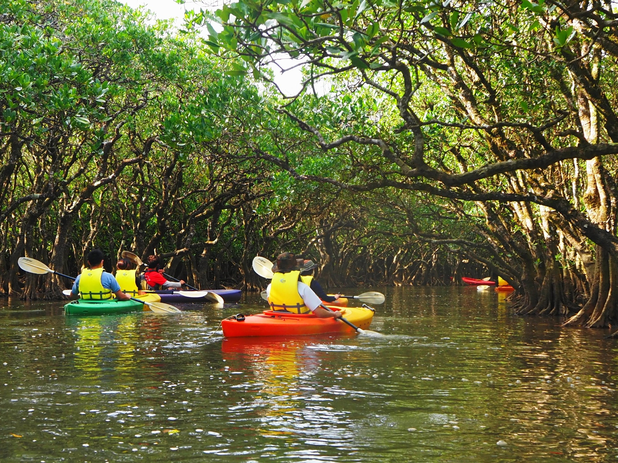 沖縄のオプショナルツアー ― マリン・観光バス・体験プログラムを比較